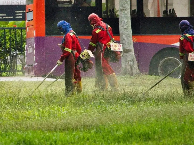 Pest control coordination for hoarding cleanup properties in Ontario